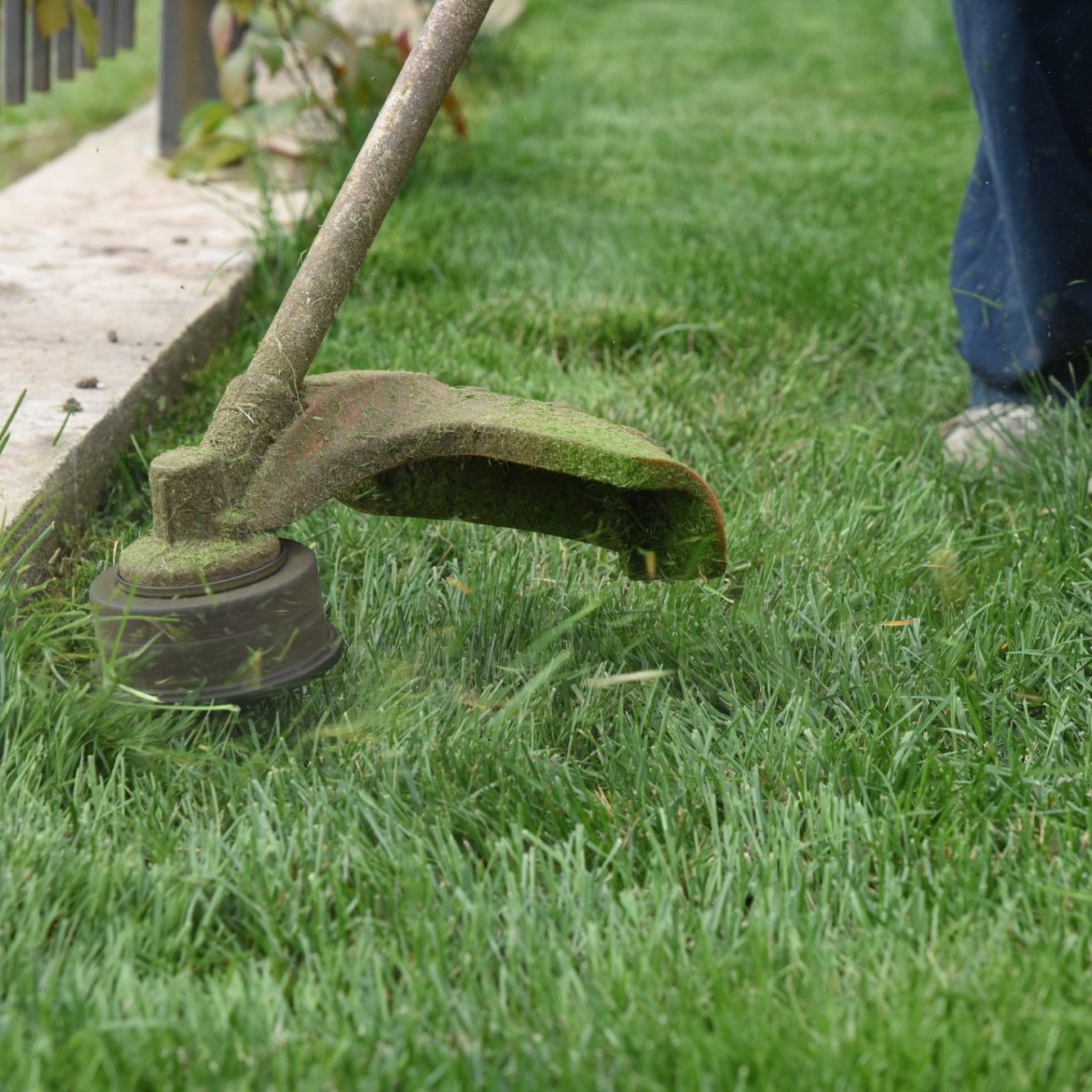 dreamstime_m_196282038 grass trimming