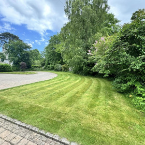 Commercial Grass Cutting
