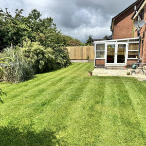 Commercial Grass Cutting