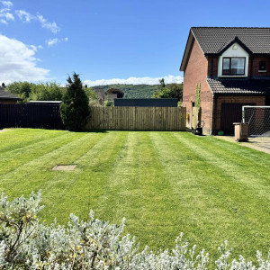 Commercial Grass Cutting