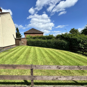Commercial Grass Cutting
