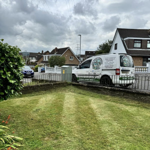 Commercial Grass Cutting
