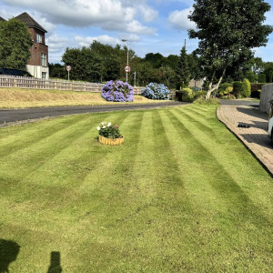 Commercial Grass Cutting