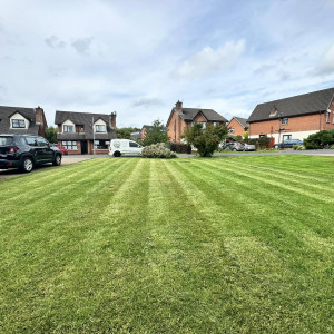 Grass Cutting