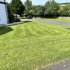 Commercial Grass Cutting
