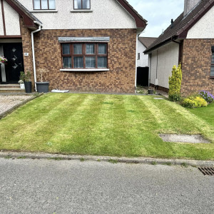 Grass Cutting