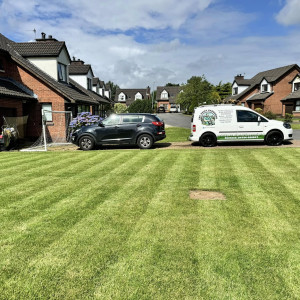 Commercial Grass Cutting