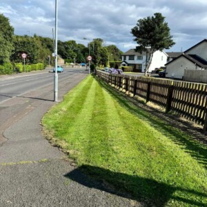 Commercial Grass Cutting