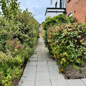 Commercial Grass Cutting