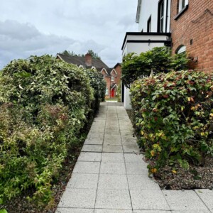 Commercial Grass Cutting