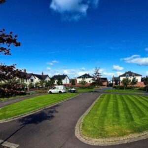 Commercial Grass Cutting