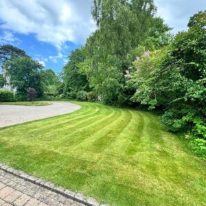 Commercial Grass Cutting