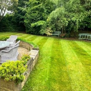 Commercial Grass Cutting
