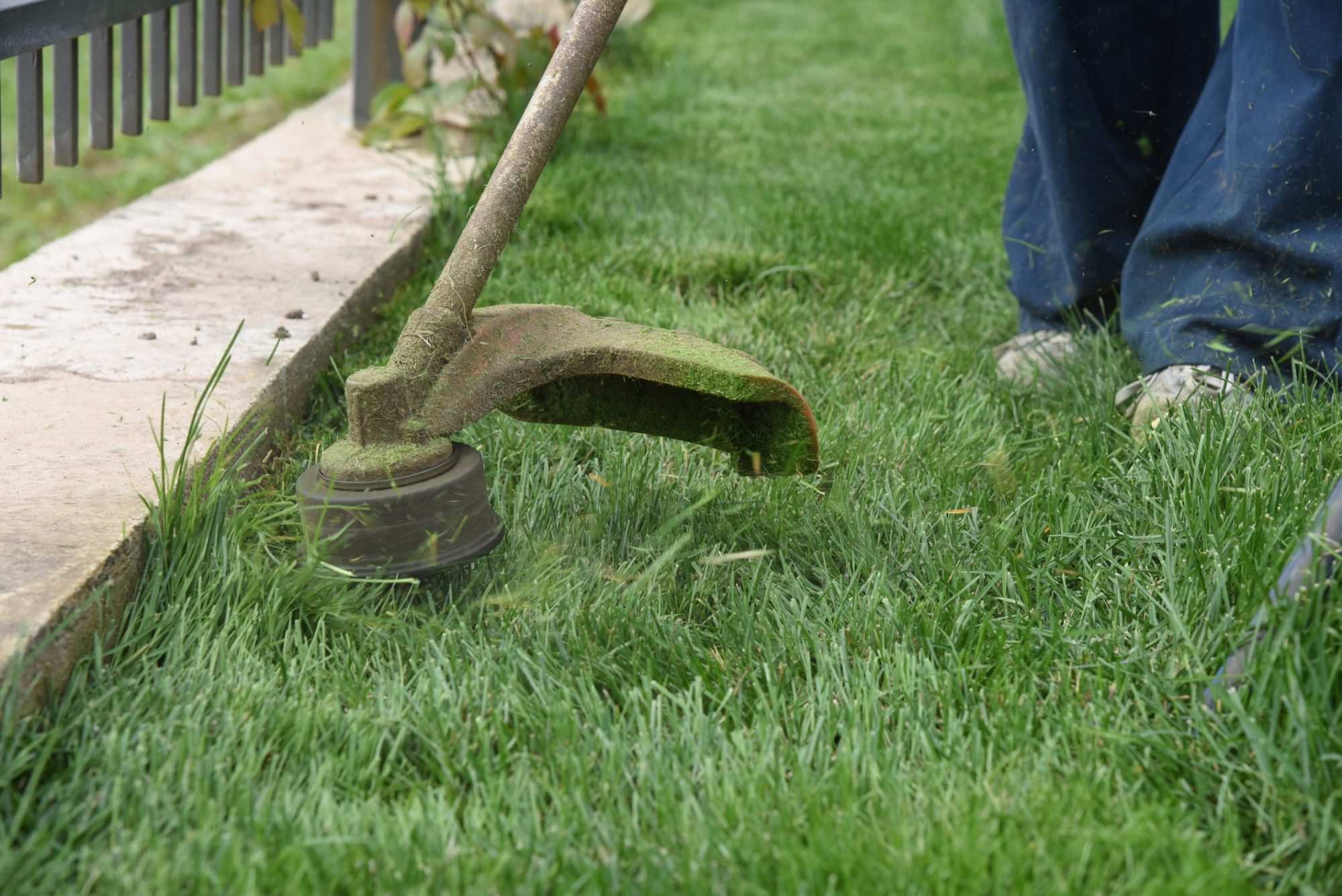 grass trimming